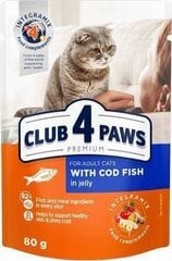 Club 4 Paws Premium Влажный корм для кошек- Треска в желе 24 x 80 г цена и информация | Консервы для котов | 220.lv