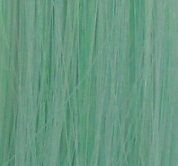 Краска для волос Wella Color Touch Instamatic Jaded Mint, 60 мл цена и информация | Краска для волос | 220.lv