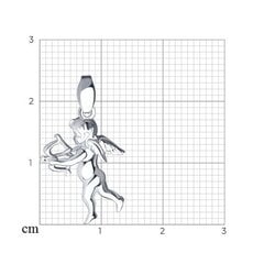 Серебряный кулон 925° цена и информация | Украшения на шею | 220.lv