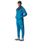 Sporta bikses vīriešiem The North Face NF0A7Z9PRCI, zilas цена и информация | Sporta apģērbs vīriešiem | 220.lv
