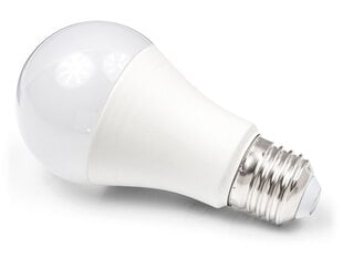 LED spuldze, E27 15W, 6000K, 1 gab. cena un informācija | Spuldzes | 220.lv