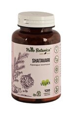 Uztura bagātinātājs Hello Botanica Shatavari, 120kapsulas цена и информация | Другие добавки и препараты | 220.lv