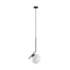Italux подвесной светильник Fabio цена и информация | Люстры | 220.lv