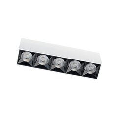 Nowodvorski iebūvējams LED apgaismojums Midi cena un informācija | Iebūvējamās lampas, LED paneļi | 220.lv