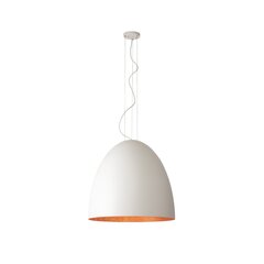 Nowodvorski подвесной светильник Egg цена и информация | Люстры | 220.lv