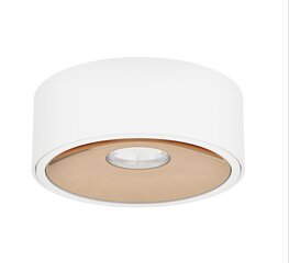 Orlicki Design встраиваемый LED светильник Neo цена и информация | Монтируемые светильники, светодиодные панели | 220.lv