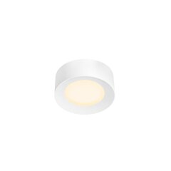 SLV потолочный светильник Fera 25 Dali цена и информация | Потолочные светильники | 220.lv