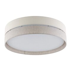 TK Lighting griestu lampa Eco cena un informācija | Griestu lampas | 220.lv