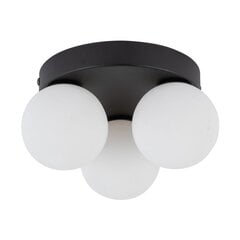 TK Lighting griestu lampa Mini cena un informācija | Griestu lampas | 220.lv