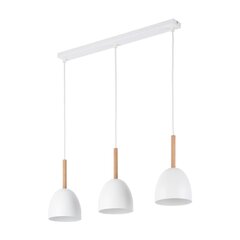 TK Lighting piekaramais lukturis Nord цена и информация | Люстры | 220.lv