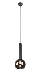 Trio подвесной светильник Clayton цена и информация | Настенный/подвесной светильник Eye Spot 11 BL, чёрный | 220.lv