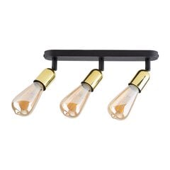 TK Lighting pakaramais lukturis Top cena un informācija | Lustras | 220.lv