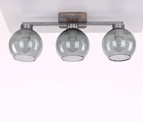 TK Lighting pakaramais lukturis Toni 6753 cena un informācija | Lustras | 220.lv