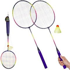 Badmintona komplekts Free & Easy, dažādas krāsas cena un informācija | Badmintons | 220.lv