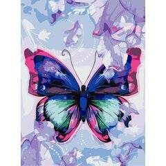 Роспись акриловыми красками и холстом по номерам "Butterfly" 30x40cm цена и информация | Живопись по номерам | 220.lv