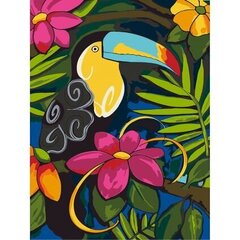 Роспись акриловыми красками и холстом по номерам "Toucan" 30x40cm цена и информация | Живопись по номерам | 220.lv