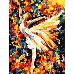 Glezna pēc cipariem Ballerina, 40x50 cm цена и информация | Живопись по номерам | 220.lv