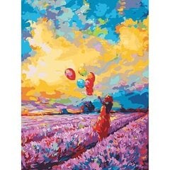 Роспись акриловыми красками и холстом по номерам "Balloons" 40x50cm цена и информация | Живопись по номерам | 220.lv