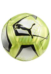 Puma Мячи Care Ball Green 084213 03 084213 03/5 цена и информация | Футбольные мячи | 220.lv