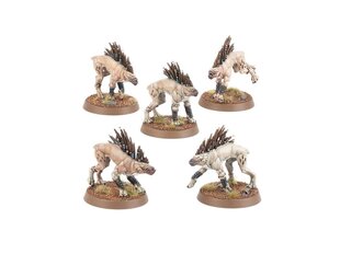 Modelis Games Workshop T'au Empire: Kroot Hounds, 56-58 cena un informācija | Konstruktori | 220.lv