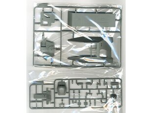 Сборная пластиковая модель. Takom - Flammpanzer 38(t), 1/35, 2180 цена и информация | Kонструкторы | 220.lv