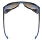 Slēpošanas brilles Uvex, zilas цена и информация | Slēpošanas brilles | 220.lv