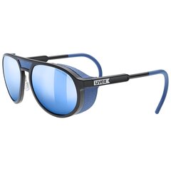Лыжные очки Uvex, синего цвета цена и информация | Лыжные очки | 220.lv