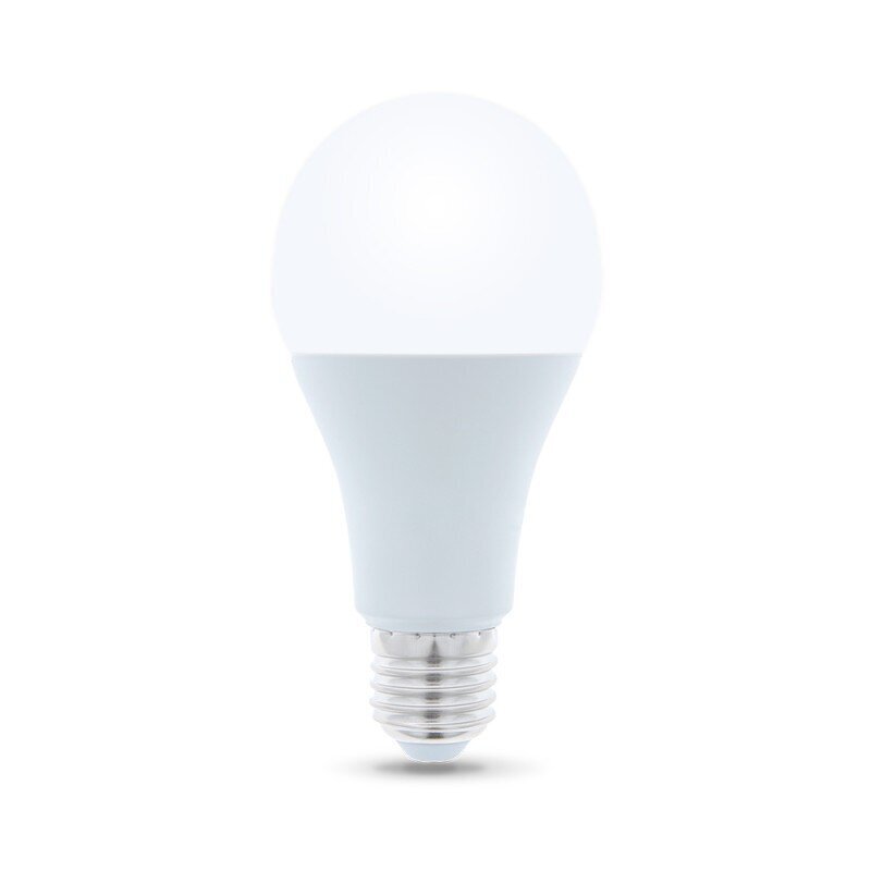 LED spuldze Forever Light E27 A65 15W 230V 3000K 1450lm cena un informācija | Spuldzes | 220.lv