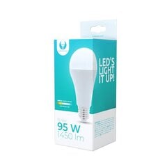 LED spuldze Forever Light E27 A65 15W 230V 3000K 1450lm cena un informācija | Spuldzes | 220.lv