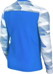 Bērnu vārtsarga krekls ar garām piedurknēm Nike, XL, zils cena un informācija | Futbola formas un citas preces | 220.lv