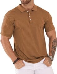 Мужские рубашки поло Plilima, коричневая цена и информация | Мужские футболки | 220.lv