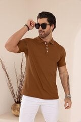 Мужские рубашки поло Plilima, коричневая цена и информация | Мужские футболки | 220.lv