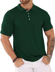 Vīriešu polo krekls Plilima, zaļš cena un informācija | Vīriešu T-krekli | 220.lv