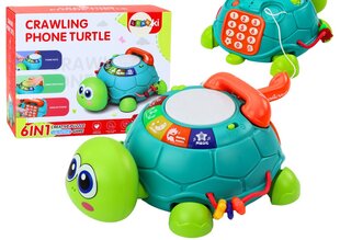 Interaktīvs 6in1 mācību bruņurupucis ar skaņas un gaismas efektiem, zaļš cena un informācija | Attīstošās rotaļlietas | 220.lv