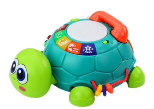 Interaktīvs 6in1 mācību bruņurupucis ar skaņas un gaismas efektiem, zaļš cena un informācija | Attīstošās rotaļlietas | 220.lv