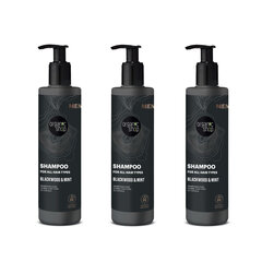 Vīriešu šampūns visiem matu tipiem Organic Shop, 3 x 280 ml цена и информация | Шампуни | 220.lv