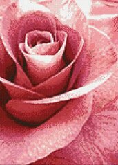 Розовая роза 27 х 38 см DP019 алмазная мозаика цена и информация | Алмазная мозаика | 220.lv