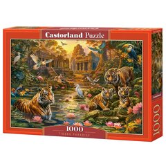 Puzle Castorland Tigers Paradise, 1000 d. cena un informācija | Puzles, 3D puzles | 220.lv