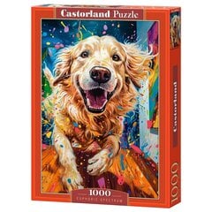 Puzle Castorland Euphoric Spectrum ,1000 d. cena un informācija | Puzles, 3D puzles | 220.lv