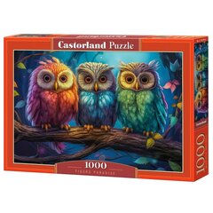 Puzle Castorland Three Little Owls, 1000 d. cena un informācija | Puzles, 3D puzles | 220.lv
