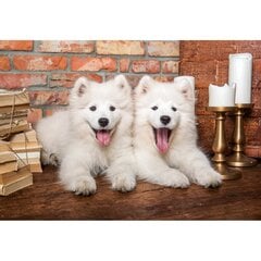 Пазл Castorland Samoyed Puppies Say Hello, 1000 деталей цена и информация | Пазлы | 220.lv