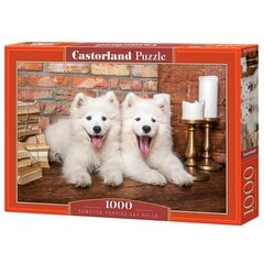 Puzle Castorland Samoyed Puppies Say Hello, 1000 d. цена и информация | Пазлы | 220.lv