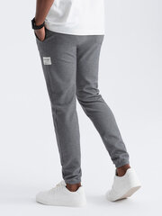 Мужские спортивные брюки Ombre OM-PASK-0211 цена и информация | Мужские брюки | 220.lv