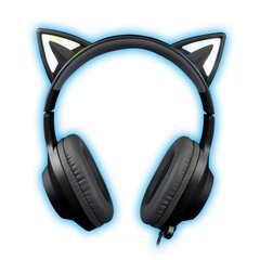 Foxxray Shining Cat Gaming Headset Wired Black/Grey cena un informācija | Austiņas | 220.lv