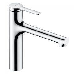 HANSGROHE Zesis M33 Смеситель для раковины с выдвижным шлангом, 74801000, хром цена и информация | Смесители | 220.lv