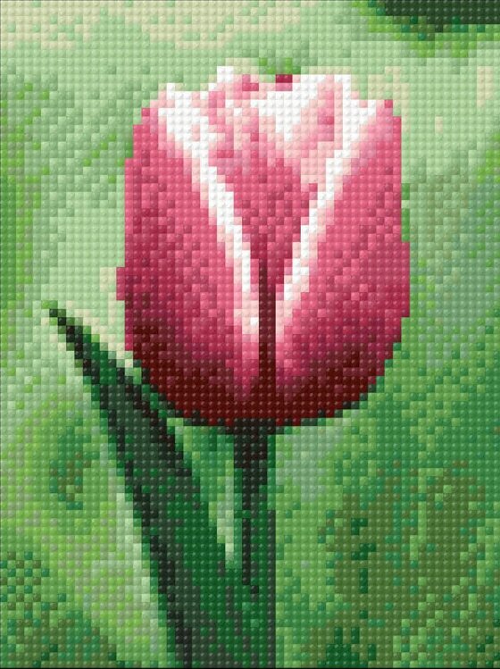 Dimantu mozaīka Tulpe DP300, 15x20 cm cena un informācija | Dimantu mozaīkas | 220.lv