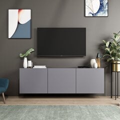 TV galdiņš Kalune Design White, pelēks цена и информация | Тумбы под телевизор | 220.lv