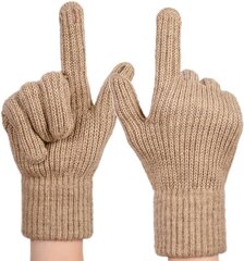Теплые зимние сенсорные перчатки цена и информация | Женские перчатки | 220.lv