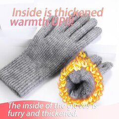 Теплые зимние сенсорные перчатки цена и информация | Женские перчатки | 220.lv