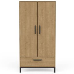 Skapis Aatrium Craft, 90.7x50x180.1 cm, brūns/melns cena un informācija | Skapji | 220.lv